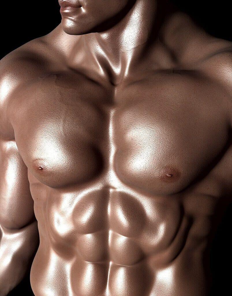 bodybuilder pixabay