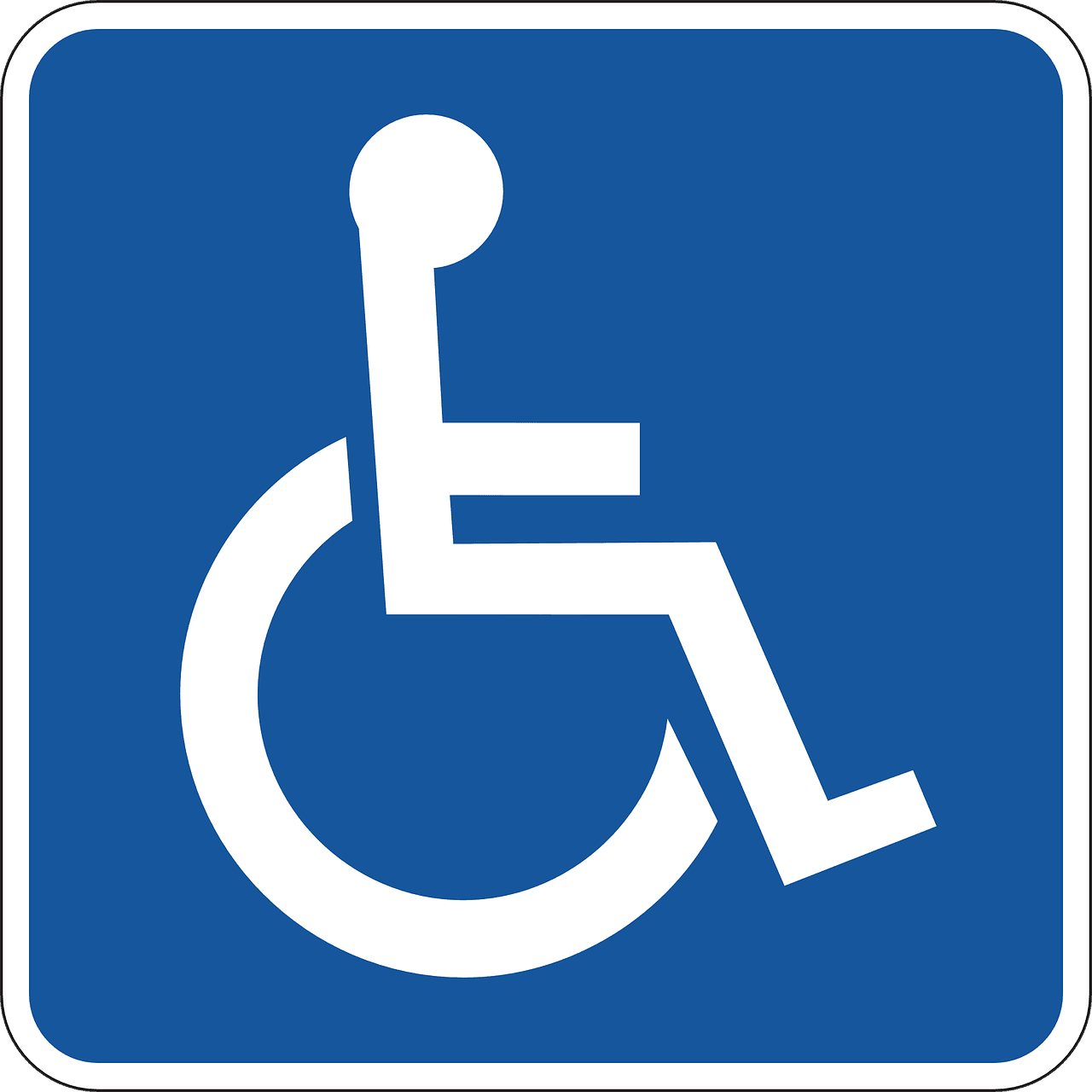 disabile