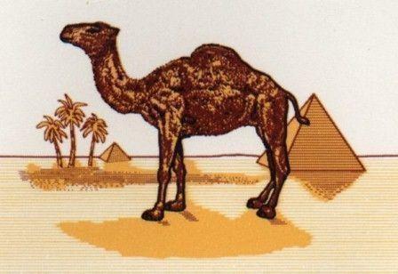messaggio subliminale camel