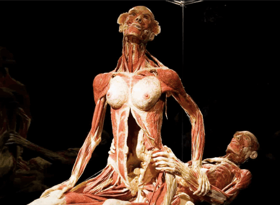 real-bodies-body-mostra-milano-morti-corpo-umano-spazio-ventura-tiziana-leopizzi