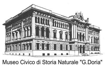 logo museo storia naturale
