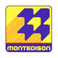 montedison