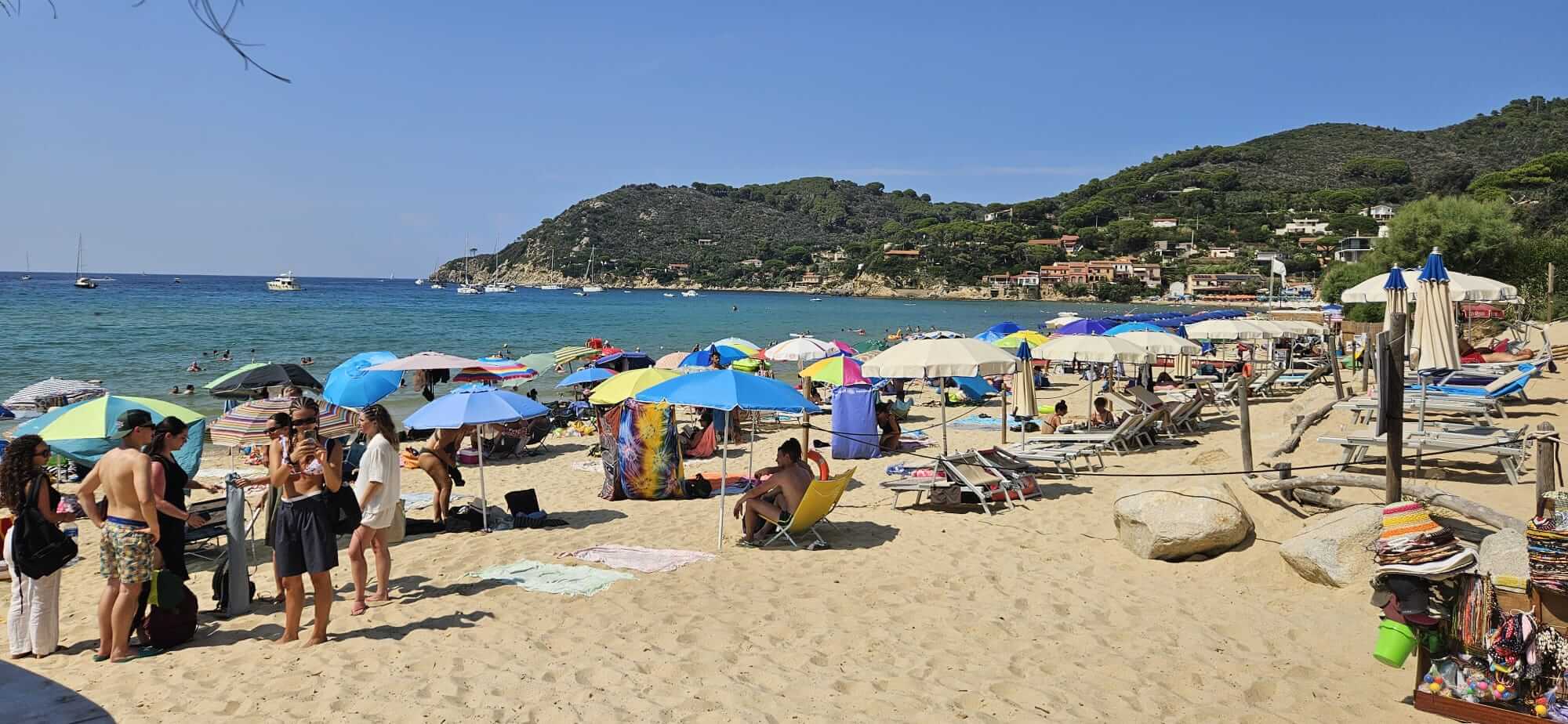 elba spiaggia biodola foto cicala