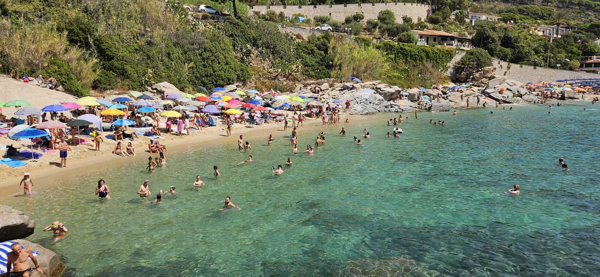 elba spiaggia cavoli foto cicala