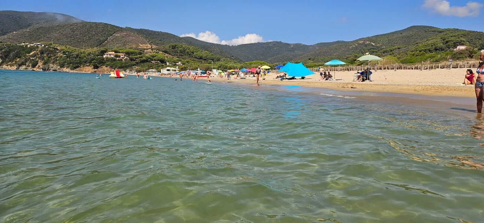 elba spiaggia lacona foto cicala