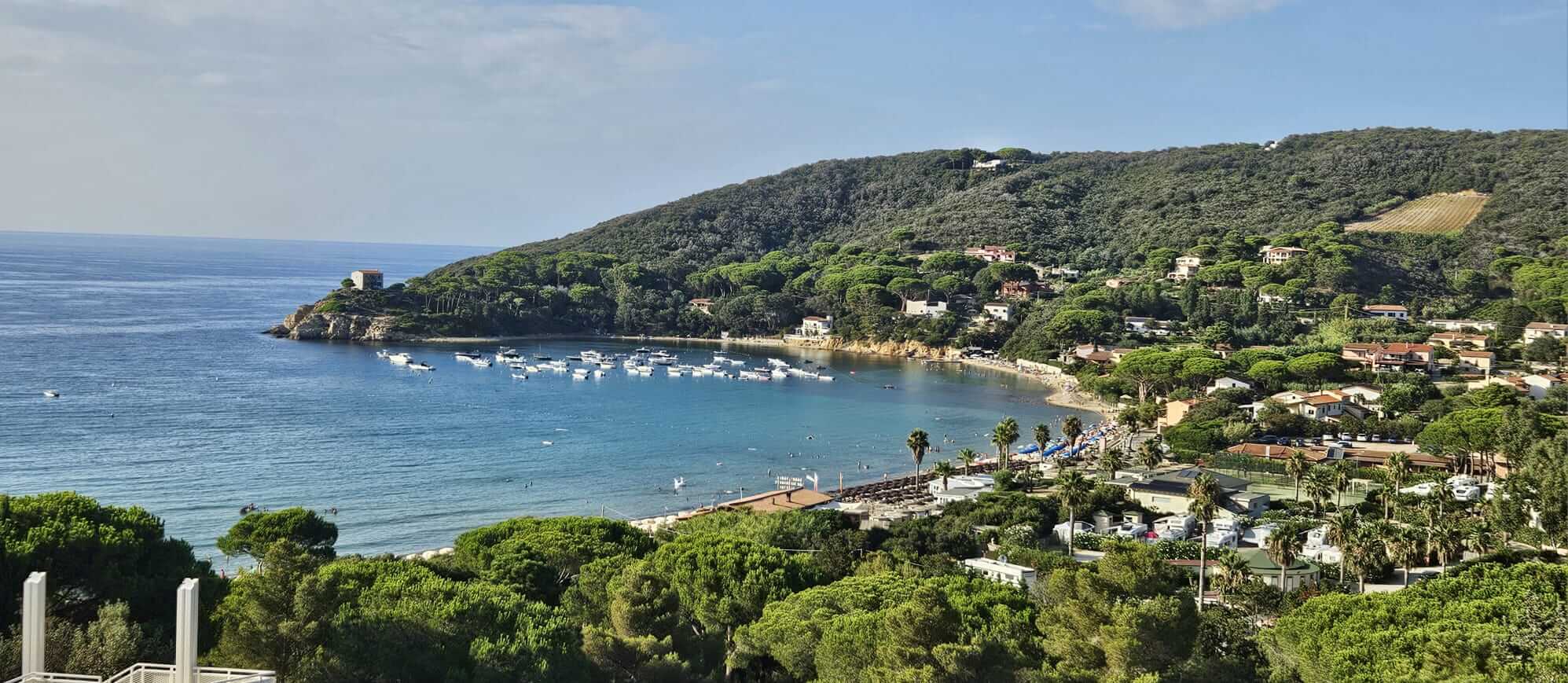 elba spiaggia procchio foro cicala2024