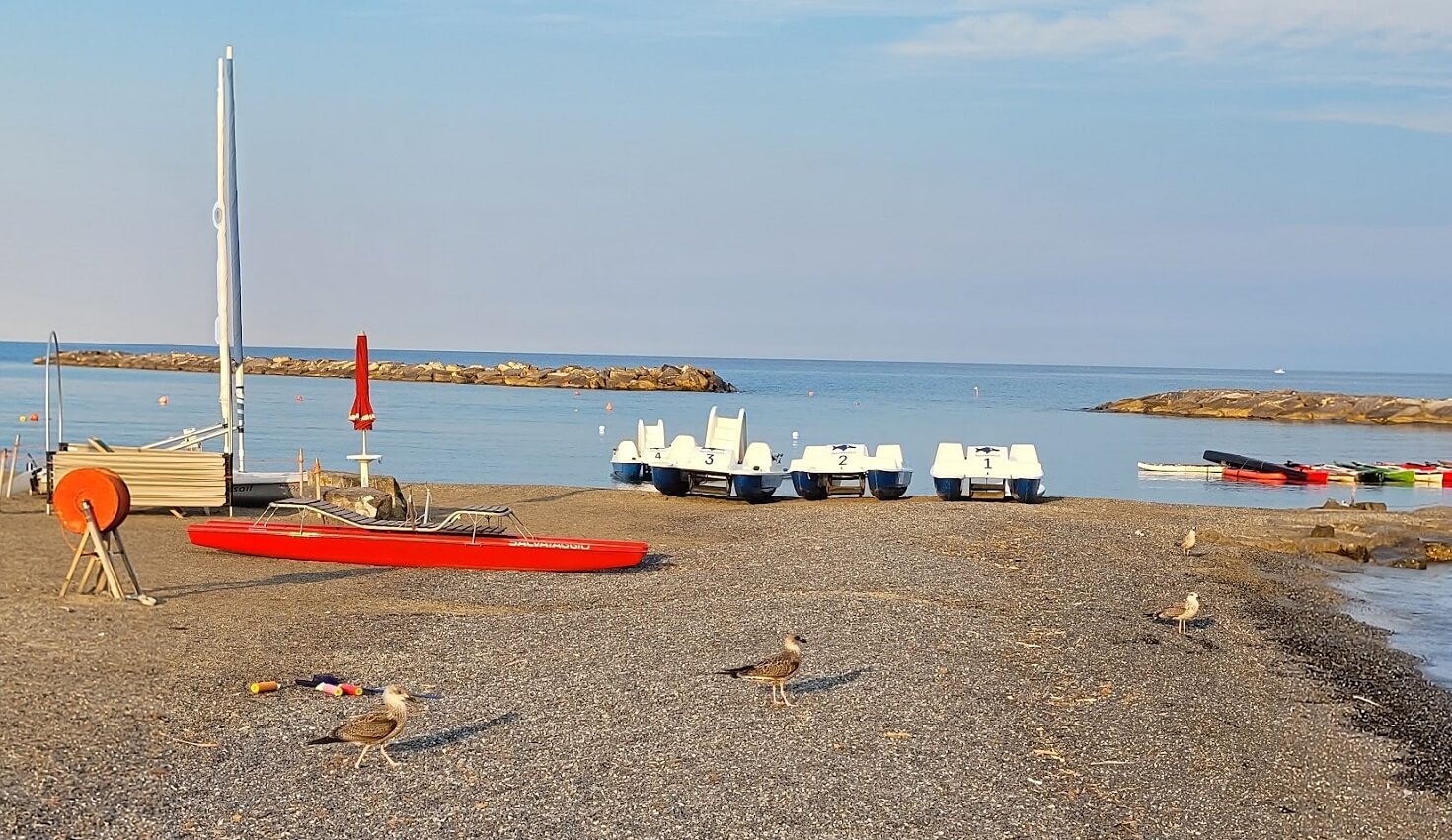 mare liguria foto cicala