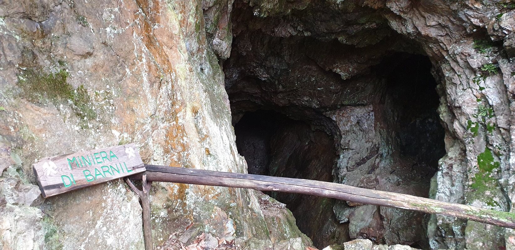 miniera di barnil sellero foto cicala