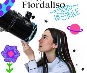 Fiordaliso sotto le stelle