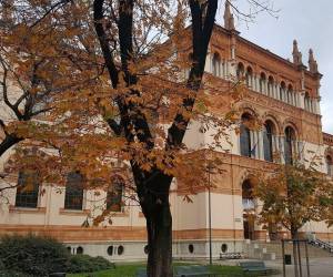 8 musei di Milano da visitare